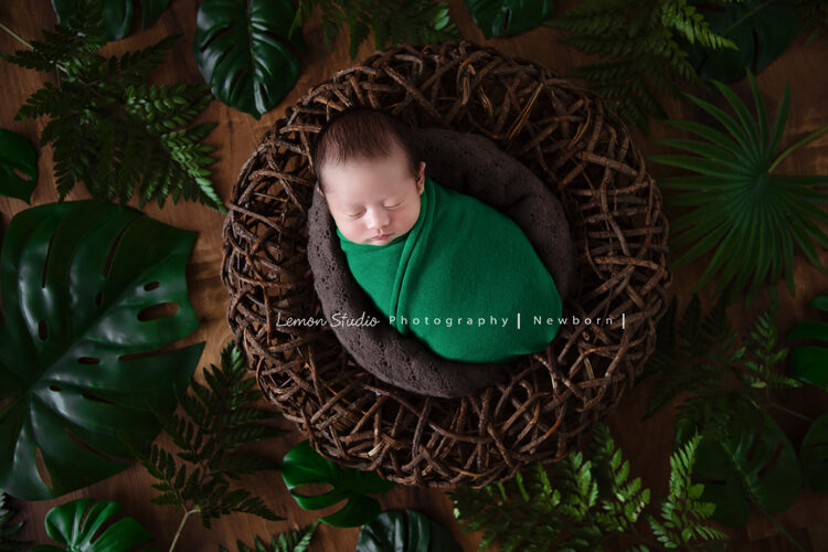 檸檬巷館的專業新生兒攝影拍出來的一張很有自然fu的寶寶照，旁邊好多綠葉，寶寶包在綠色的布裡，躺在籐籃裡，好療癒的一張相片啊