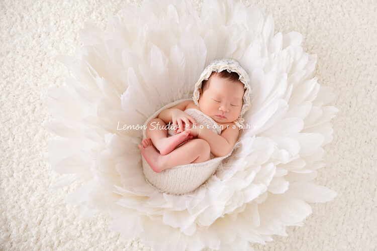 隨手分享新生兒攝影的一張相片，這張相片裡的這個寶寶包在白色的布裡，躺在白色的花海中，好美好美啊！