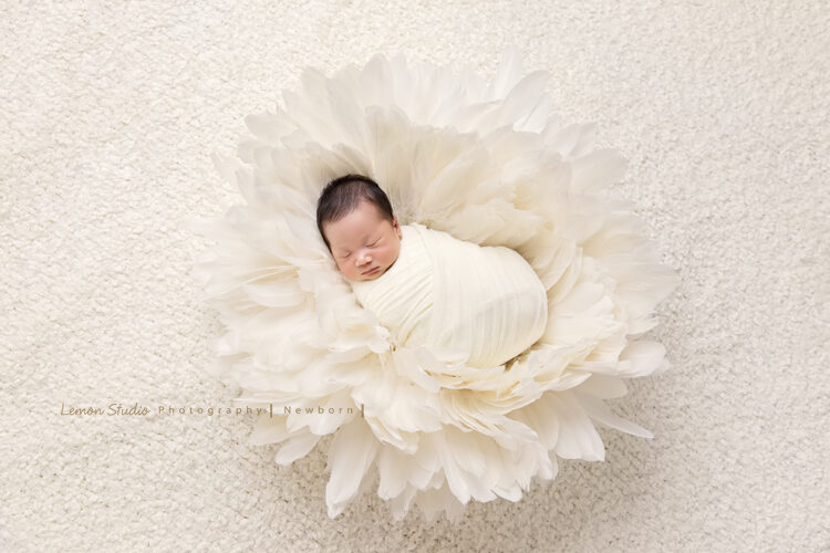 冠伶媽麻一家來拍新生兒寫真全家福，這張包在布裡的寶寶躺在白色的花朵上好美！