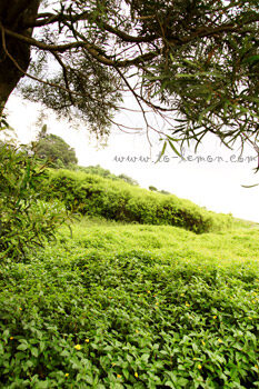 959987643_ba6719d7a8_o