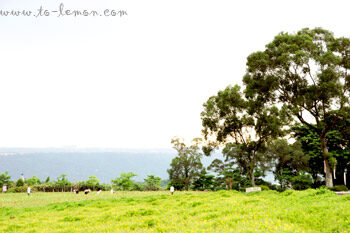 959988003_6f069979a8_o