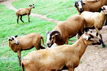 959989667_0012932113_o