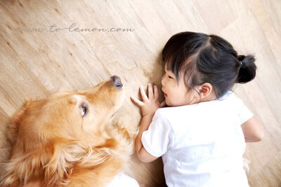 可愛的子瑄和懷二寶的媽麻、狗狗寶貝、和爸拔一起來拍照，這張是子瑄和狗狗一起趴在地上的可愛合照！