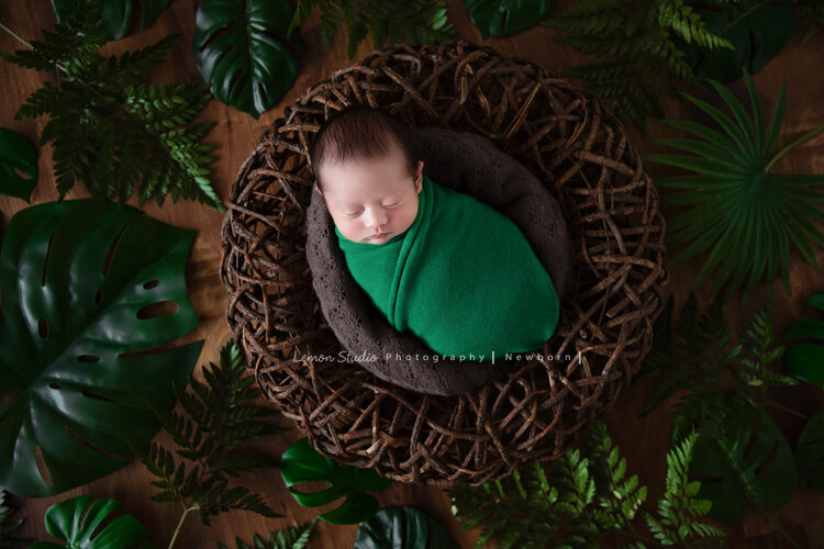 Eva媽麻一家來拍新生兒寶寶寫真，這張相片裡放了很多綠葉好有大自然的fu！