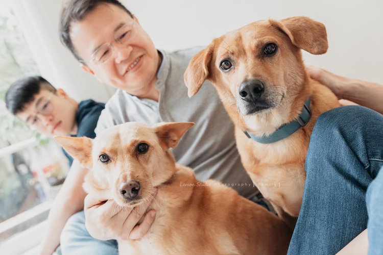 薇君媽麻一家的全家福，成年的兒子們都好帥氣啊，家裡的狗寶貝們也是可愛的家族成員，這張是狗寶貝們的特寫！