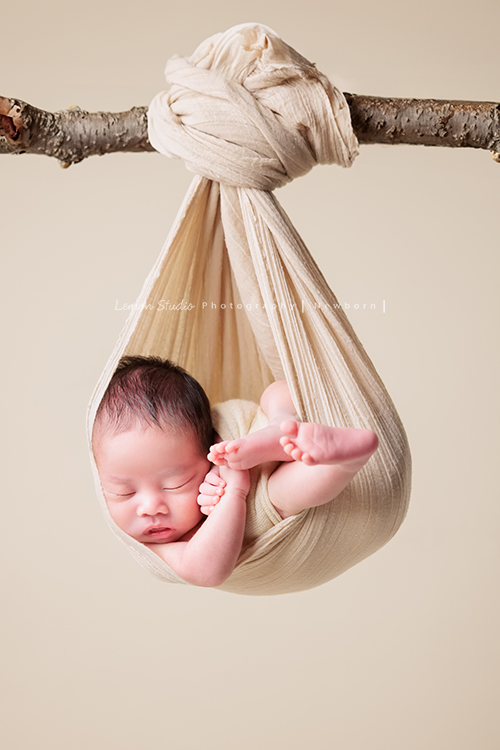 Cherie媽麻懷孕時拍了美麗的相片後，接著就是這次慶祝三寶加入這個大家庭的新生兒寶寶寫真，雙胞胎哥哥們期待小弟很久了，這張是剛出生的三寶的新生兒寫真照！